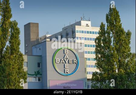 Bayer, Pharma, Muellerstrasse, Wedding, Mitte, Berlin, Allemagne Banque D'Images