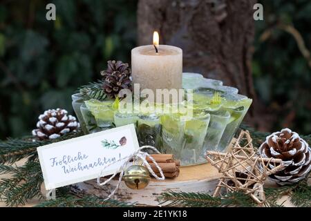 décoration de jardin de noël avec lanterne glacée, bougie et fleurs d'helleborus niger Banque D'Images