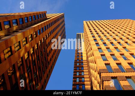 De hauts bâtiments photographiés d'en-dessous sur les Zuidas d'Amsterdam par une journée ensoleillée avec un ciel bleu et légèrement nuageux. Banque D'Images