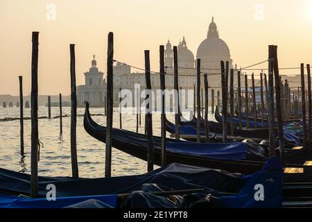 Gondole vénitienne au coucher du soleil, gondoles amarrées à Venise avec la basilique Santa Maria della Salute en arrière-plan, en Italie