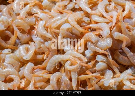 Crevettes fraîches à vendre au marché aux poissons du Rialto, Mercato di Rialto à Venise, Italie Banque D'Images