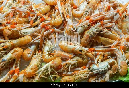 Langoustines en vente au marché aux poissons du Rialto, Mercato di Rialto à Venise, Italie Banque D'Images