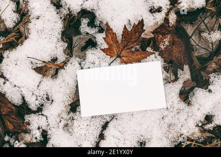 Photo stock style hiver Moody. Gros plan de la maquette de carte de visite vierge sur un sol gelé avec des feuilles d'érable sèches et de la neige. Extérieur, concept de marque Banque D'Images
