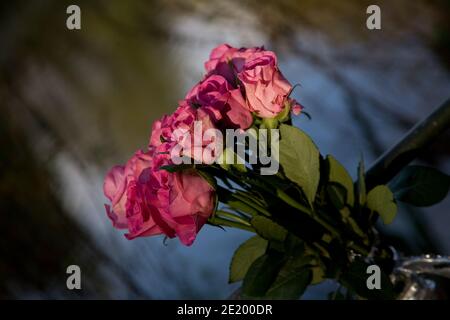 Image de Laqndscape d'un parc britannique en automne Banque D'Images