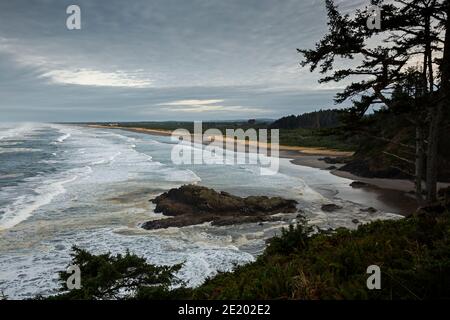 WA19074-00...WASHINGTON - long Beach vue de Bell's Trail dans le parc national de Cape déception. Banque D'Images