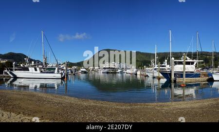 Picton Marina Panorama en début de matinée avec la ville de Picton en arrière-plan. Banque D'Images