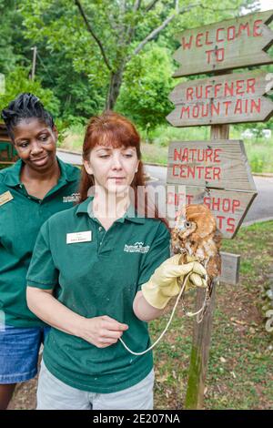 Birmingham Alabama, Ruffner Mountain nature Centre centre, femme femme animalière hurle hibou noir femmes, Banque D'Images