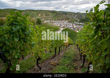 Vallée de l'Ahr, Rhénanie-Palatinat, Allemagne : vue depuis le Rotweinwanderweg, le sentier de randonnée du vin rouge Banque D'Images