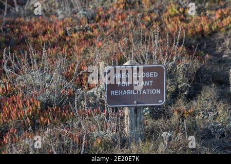 Un panneau avertissant les randonneurs qu'une zone est fermée pour la remise en état des plantes car les espèces végétales sensibles poussent sur les dunes du parc national de Pescadero en CA. Banque D'Images