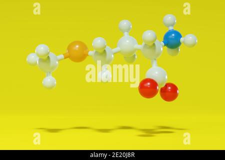 Molécule d'acide aminé méthionine (L-méthionine, met, M). Rendu 3D. Modèle moléculaire de bille et de bâton avec des atomes représentés par des sphères à code couleur : hydrogène Banque D'Images