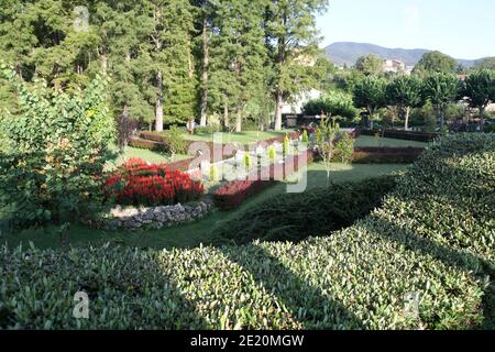 Mongiana, Vibo Valentia - Villa Vittoria crédit: Giuseppe Andidero Banque D'Images