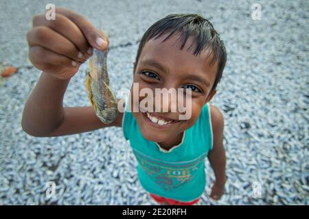 Brahmanbaria, Bangladesh. 29 novembre 2020. Un enfant montre Puti Fish comme le long processus de fabrication du poisson sec commence. Des milliers de petits poissons "Puti" sont capturés dans une rivière voisine. Les ouvriers coupent et nettoient les poissons, ajoutent du sel et ensuite les sèchent sur une plate-forme en bambou au soleil pendant quatre à cinq jours. Une fois que les poissons sont correctement séchés, ils sont emballés pour la vente sur les marchés. (Photo de Joy Saha/Pacific Press) Credit: Pacific Press Media production Corp./Alay Live News Banque D'Images