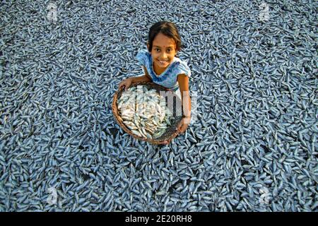 Brahmanbaria, Bangladesh. 29 novembre 2020. Une fille montre Puti Fishes à sécher sous le soleil pour le long processus de fabrication du poisson sec. Les ouvriers coupent et nettoient les poissons, ajoutent du sel et ensuite les sèchent sur une plate-forme en bambou au soleil pendant quatre à cinq jours. Une fois que les poissons sont correctement séchés, ils sont emballés pour la vente sur les marchés. (Photo de Joy Saha/Pacific Press) Credit: Pacific Press Media production Corp./Alay Live News Banque D'Images