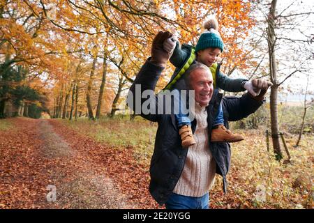 Grand-père donnant le petit-fils Ride sur les épaules pendant qu'ils marchent le long Sentier de la forêt d'automne Banque D'Images