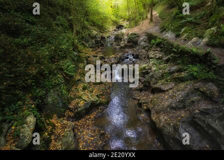 Forêt de Cuevas de Zugarramurdi (Navarre - Espagne) Banque D'Images