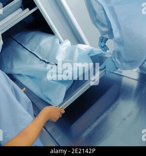 Préparation à l'examen post mortem. Banque D'Images