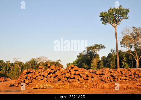 Les activités forestières dans la forêt tropicale brésilienne provoquent une déforestation à grande échelle et l'érosion des terres Banque D'Images