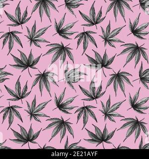 cannabis sur fond rose modèle sans couture. Feuilles de cannabis noires et blanches dessinées à la main sur fond rose. Banque D'Images