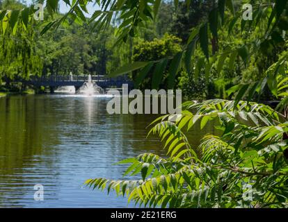 Beau lac avec fontaines dans le parc Mezhyhirya à Novi Petrichtsi près de Kiev, Ukraine Banque D'Images