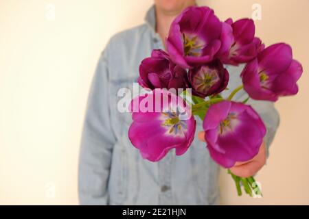 Un bouquet de tulipes lilas entre les mains des hommes. Un homme donne des fleurs. Banque D'Images