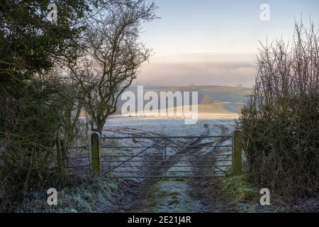 Paysage d'hiver près d'Ilmington, Cotswolds, Warwickshire, Angleterre. Banque D'Images