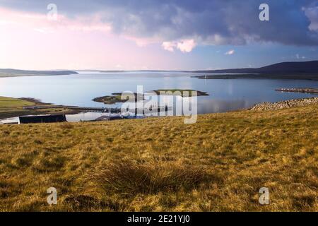 Vue aérienne depuis le sommet de la colline au-dessus de Stromness sur Orkney îles en Écosse avec deux petites îles en arrière-plan et herbe dorée en premier plan Banque D'Images