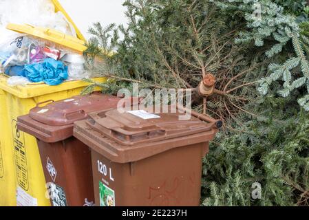 Magdebourg, Allemagne. 10 janvier 2021. Arbres de Noël situés à un point de collecte des ordures. Credit: Stephan Schulz/dpa-Zentralbild/ZB/dpa/Alay Live News Banque D'Images