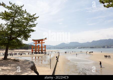Touristes sur la plage à côté de la porte Ttorii d'Itsukushima (Miyajima), Japon Banque D'Images
