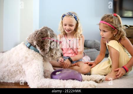 deux filles jouant avec un grand chien brun et blanc sol à la maison Banque D'Images