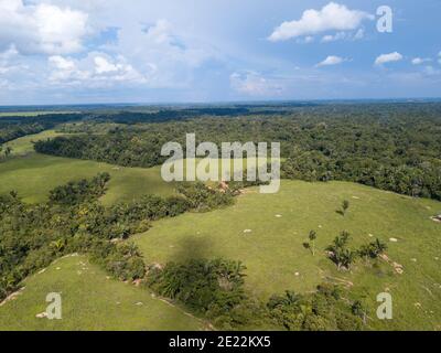 Vue aérienne par drone de la forêt paysagère et des prairies dans la ferme de pâturage de bétail dans la forêt amazonienne, Brésil. Concept d'écologie, déforestation. Banque D'Images