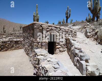 Vue sur le paysage du désert avec une ancienne structure en pierre et Saguaro plantes de cactus Banque D'Images
