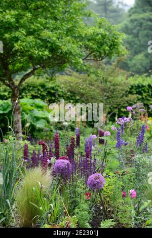 thalictrum bas noirs,lupin chef-d'œuvre,salvia indigo spires,aconitum,eryngium,thalictrum,cosmos,allium globemaster,fleurs bleues et violettes,bleu Banque D'Images