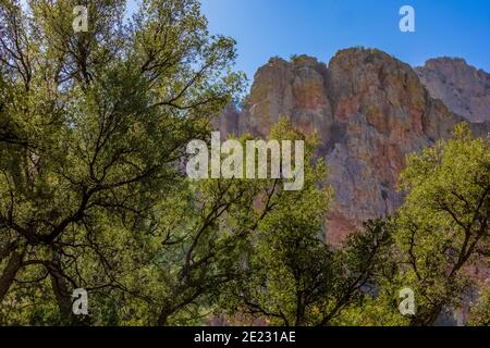 Montagnes spectaculaires de Chiricahua vues depuis Cave Creek Canyon dans la forêt nationale de Coronado, Arizona, États-Unis Banque D'Images