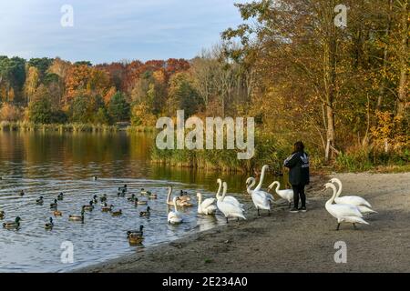 Lieperbucht, Havel, Grunewald, Berlin, Allemagne Banque D'Images