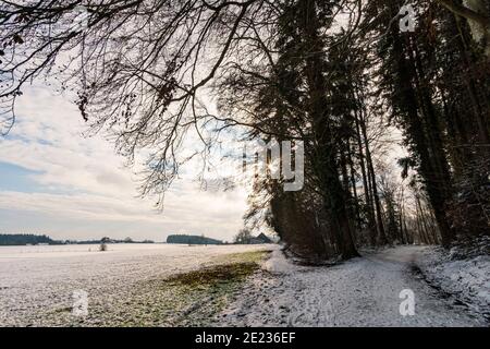 Faites une randonnée dans le ravin couvert de neige à Schmaleg près de Ravensburg Souabe supérieur Banque D'Images