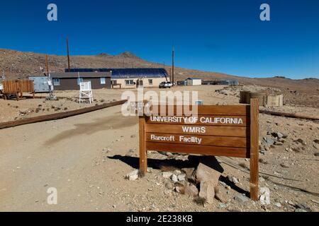 Whte Mountains, Californie, États-Unis. 23 septembre 2016. Barcroft Station, entourée de fellfields alpins et de pergélisol sporadique au-dessus de la ligne des arbres. Le Centre de recherche de l'Université de Californie sur les montagnes blanches (WMRS), à Barcroft. Depuis plus de 60 ans, le Centre de recherche de l'UC White Mountain attire les scientifiques. Situé dans l'ombre de la Sierra Nevada, la chaîne de montagnes blanches fait l'expérience d'un air extrêmement sec. Combinée à des élévations élevées, elle fournit d'excellentes conditions pour les mesures atmosphériques et les observations astronomiques. Une richesse de défauts de tremblement de terre, strau rocailleux inhabituel Banque D'Images