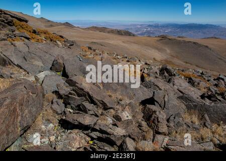 Whte Mountains, Californie, États-Unis. 23 septembre 2016. Barcroft Station, entourée de fellfields alpins et de pergélisol sporadique au-dessus de la ligne des arbres. Le Centre de recherche de l'Université de Californie sur les montagnes blanches (WMRS), à Barcroft. Depuis plus de 60 ans, le Centre de recherche de l'UC White Mountain attire les scientifiques. Situé dans l'ombre de la Sierra Nevada, la chaîne de montagnes blanches fait l'expérience d'un air extrêmement sec. Combinée à des élévations élevées, elle fournit d'excellentes conditions pour les mesures atmosphériques et les observations astronomiques. Une richesse de défauts de tremblement de terre, strau rocailleux inhabituel Banque D'Images