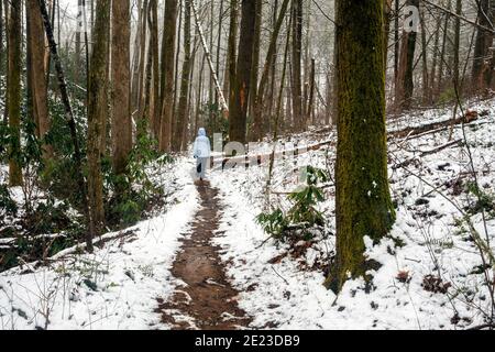 Randonnée solitaire sur le sentier de la forêt enneigée - Sycamore Cove Trail - Pisgah National Forest, Brevard, Caroline du Nord, États-Unis Banque D'Images