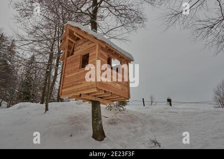 maison en bois construite sur un arbre Banque D'Images