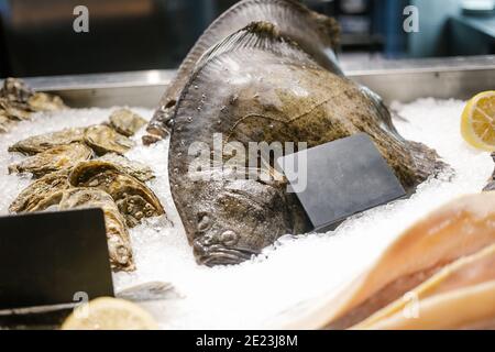 Fruits de mer - le flet et les huîtres se trouvent sur le comptoir, sur la glace du magasin. Copier l'espace. Mise au point sélective. Banque D'Images