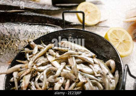 Poisson de mer noir frais prêt à vendre sur le comptoir de pêcheurs. Mise au point sélective Banque D'Images