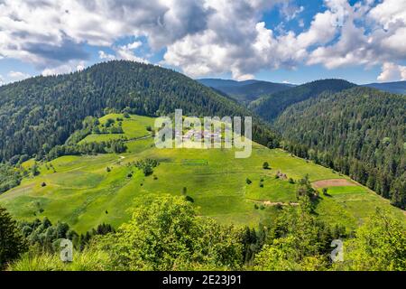 Belle montagne de Zlatar, destination touristique populaire. Forêts de pins verts, collines et prairies. Serbie Banque D'Images