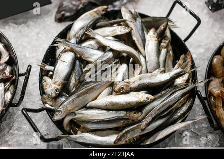 Poisson de mer noir frais prêt à vendre sur le comptoir de pêcheurs. Mise au point sélective Banque D'Images