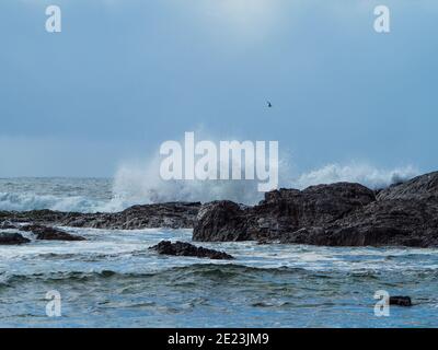 Des vagues sauvages s'écrasant dans des rochers et explosant de l'eau blanche en haut dans le ciel Banque D'Images