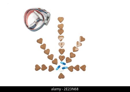 Gâteries pour chiens de chanvre disposées en forme de A. feuille de cannabis fournir la médecine naturelle pour les animaux de compagnie au lieu de prescription pilules d'un vétérinaire pour aider c Banque D'Images