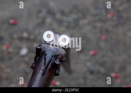 Un ancien fusil de chasse à double corps à action de rupture, vintage, doté de deux déclencheurs et de deux marteaux. L'action est ouverte, avec deux coques de fusil de chasse dans le tunnel, et e Banque D'Images