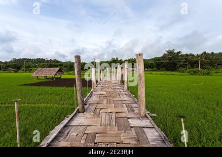 Magnifique pont de bambou de la Thaïlande, pont Zutongpae sur le champ de riz vert à la province de Mae Hong son. Thaïlande Banque D'Images