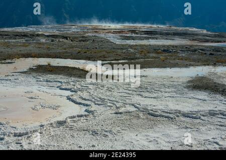 Les dépôts uniques observés aux sources chaudes mammouth sont comme nul autre résultant d'une température plus basse de 165° F et d'un flux continu de plus de 2 tonnes de mine Banque D'Images