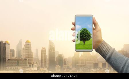 Femme main tient un smartphone moderne à écran d'arbre vert sur fond de ville. Concept de sauvegarde de l'environnement et de conservation naturelle. Banque D'Images