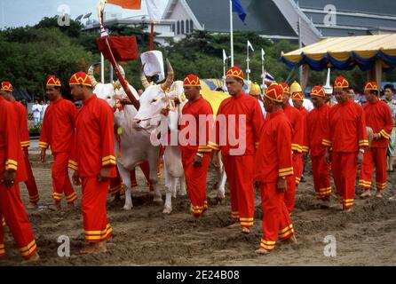 La cérémonie royale de labourage est un ancien rituel de Brahman qui se tient chaque année à Bangkok à Sanam Luang, en face du Grand Palais. L'événement est exécuté pour obtenir un démarrage propice à la saison de croissance du riz. Le champ de Sanam Luang est semé de graines bénies par le roi. Les agriculteurs collectent ensuite les graines pour les replanter dans leurs propres champs. Cette cérémonie se tient également au Cambodge et au Sri Lanka. Banque D'Images